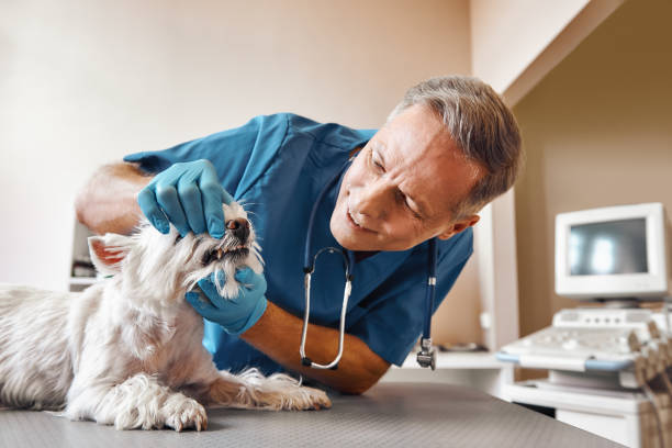 Best 24-Hour Emergency Dental Care in Hilliard, FL